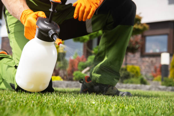 Best Affordable Pest Control Services  in Kenilworth, NJ