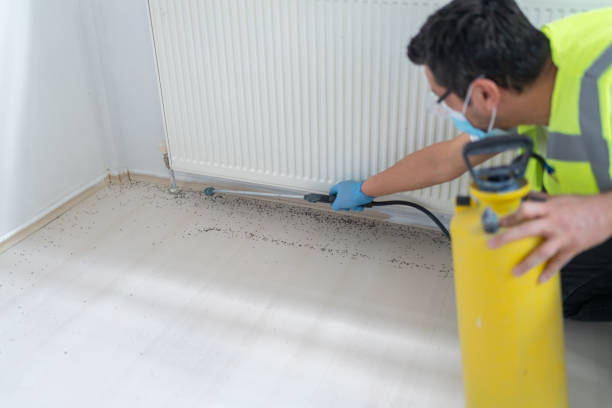 Best Cockroach Control Services  in Kenilworth, NJ